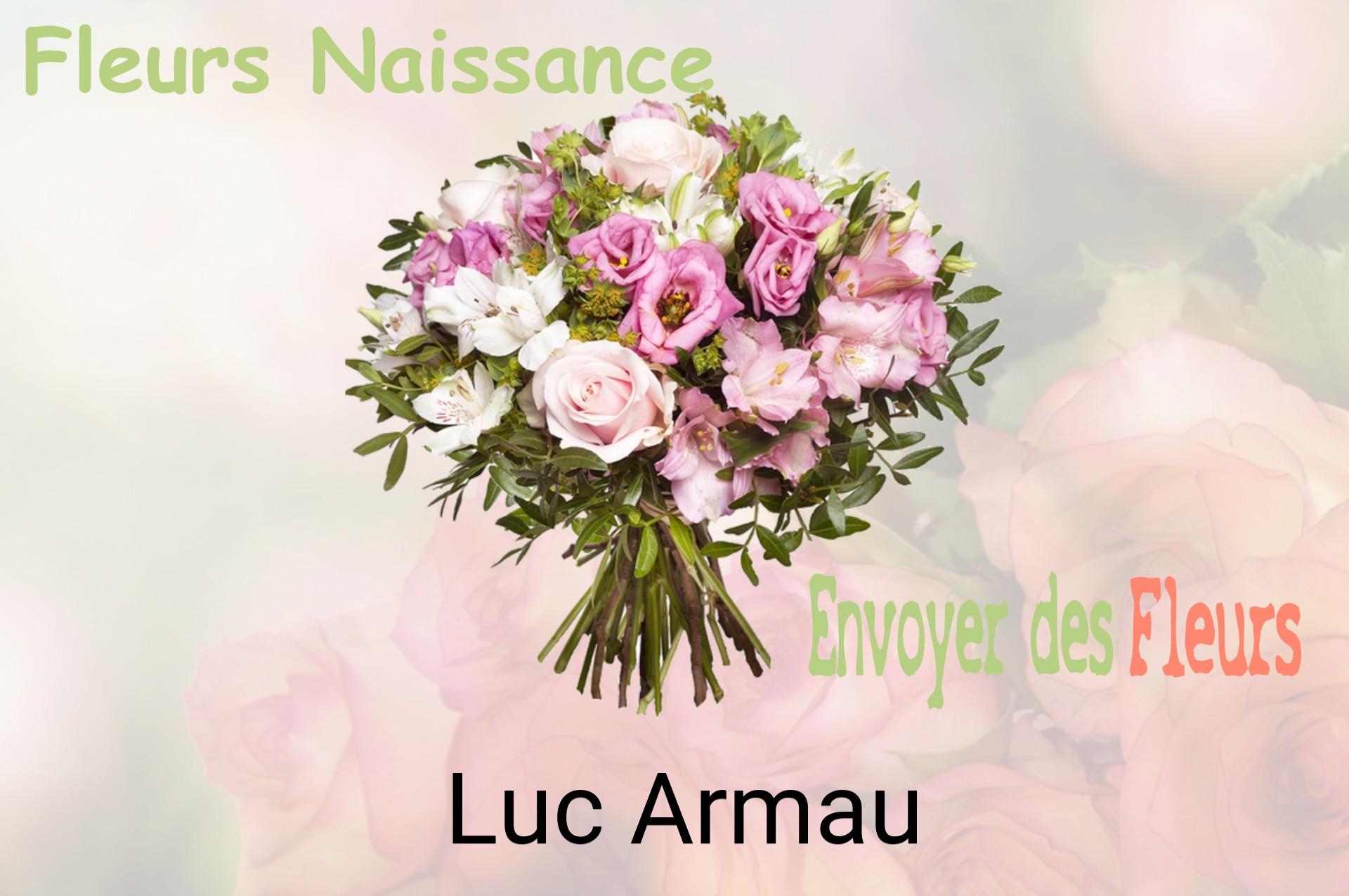Bouquet de fleurs de naissance livré à Luc-Armau